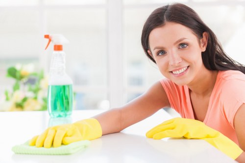 Professional rug cleaning service for E3 homes and apartments