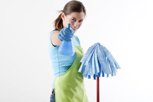 Domestic window cleaning for a home near E3
