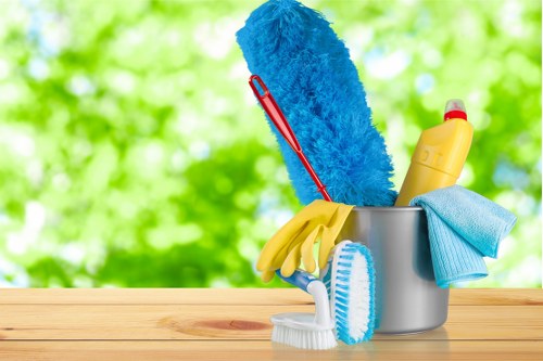 Domestic cleaning service in an E3 home with a tidy living space