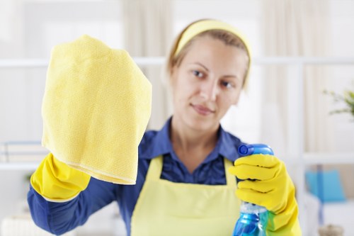Professional one off cleaning service for homes in E3