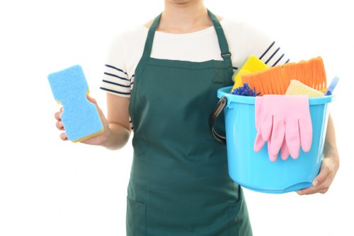 Professional sofa cleaning service for homes in E3