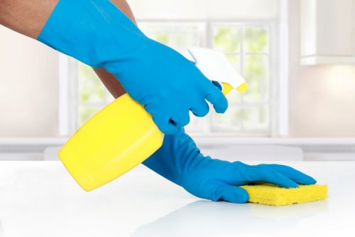 Professional hard floor cleaning for E3 homes and businesses