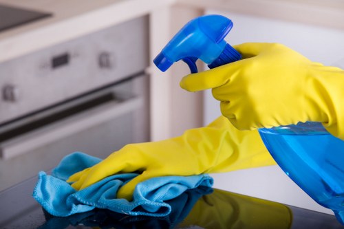 Local cleaning treatment for pet stains on upholstery in E3 homes