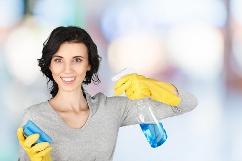 Local facade cleaning service for residential and commercial properties in E3