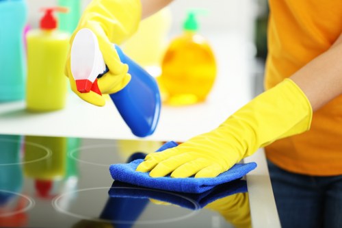 Local cleaner treating mattress odours in E3 property