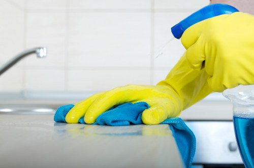 Local cleaning team working in a flat block near Bow and E3