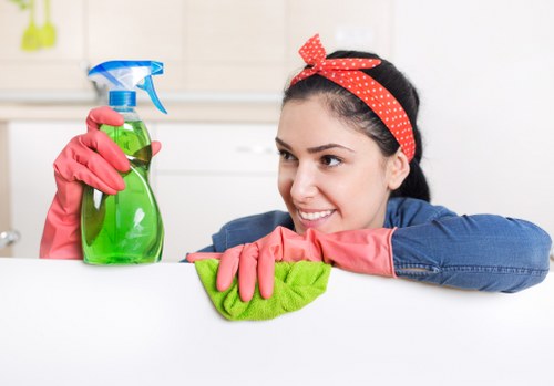 Mattress cleaning in a local E3 apartment bedroom