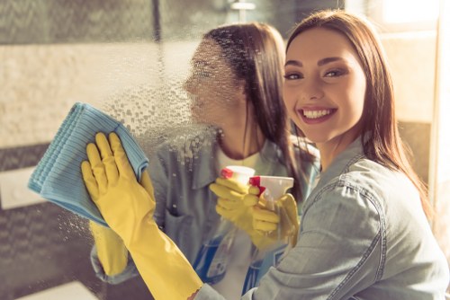 Pet stain and smell treatment for carpets and soft furnishings in E3