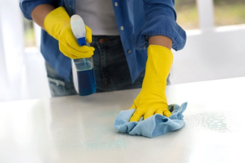 Detailed bathroom deep cleaning in an E3 property